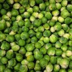 Small Sprouts Free Stock Photo - Public Domain Pictures